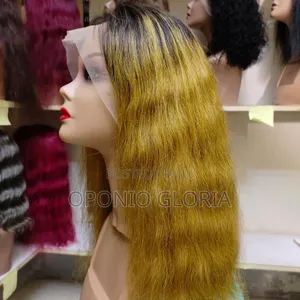 The Human Hair Wig at Affordable Price