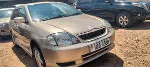 Toyota Allex 2004 Gold