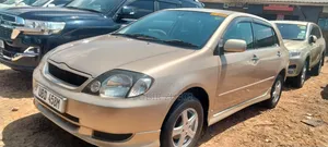 Toyota Allex 2004 Gold
