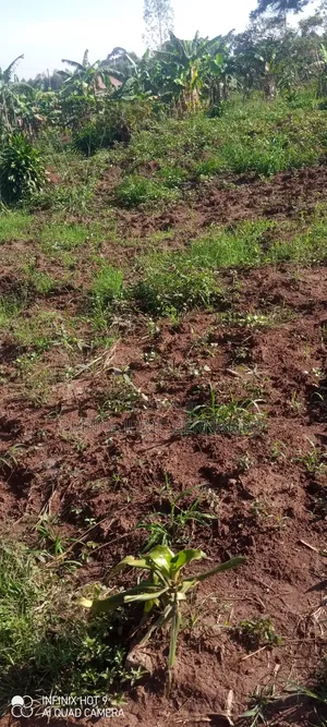 42x70ft Plot at Mende- Wakiso - 5km Off Hoima Road- 15m
