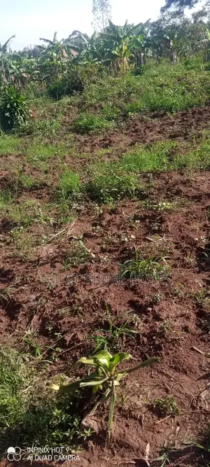 42x70ft Plot at Mende- Wakiso - 5km Off Hoima Road- 15m