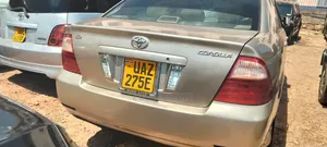 Toyota Corolla 2002 Gold