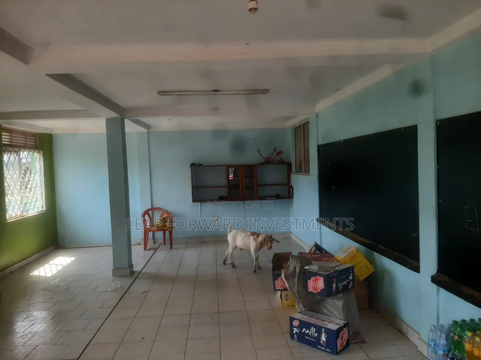 Primary School on Sale