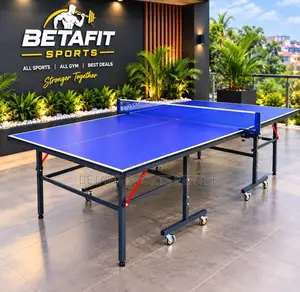 Foldable Table Tennis Table
