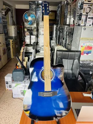 Tayste Brandnew Powered Acoustic Guitar