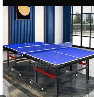 Unique Foldable Tennis Table