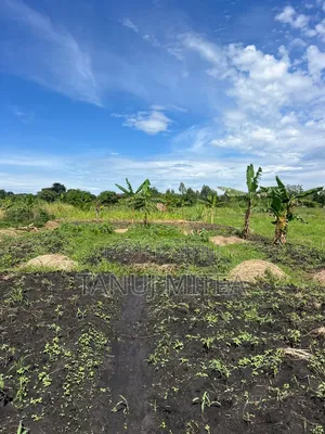 7 Acres Agri Land Fish Pond for Sale /Lease