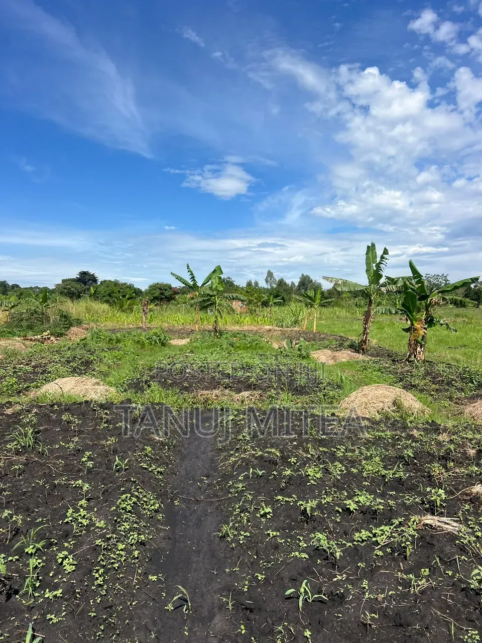 7 Acres Agri Land Fish Pond for Sale /Lease