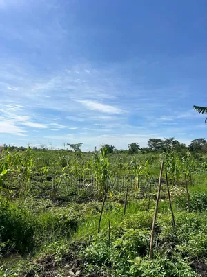 7 Acres Agri Land Fish Pond for Sale /Lease