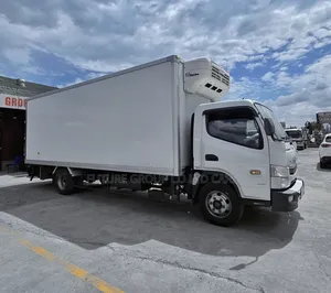 Mitsubishi Refrigerated Truck