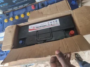 Range Rover Batteries N 100