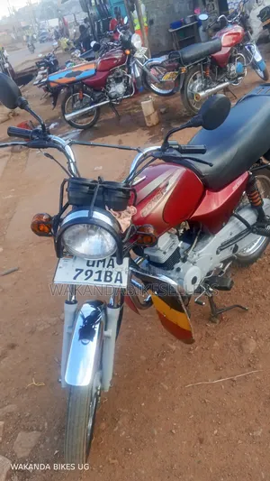 Bajaj Boxer 100 2024 Red