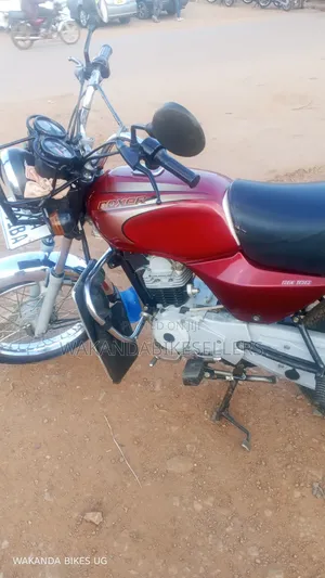 Bajaj Boxer 100 2024 Red