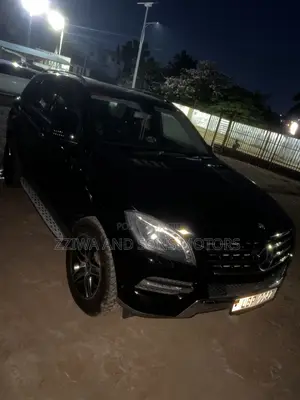 Mercedes-Benz M Class 2015 Black
