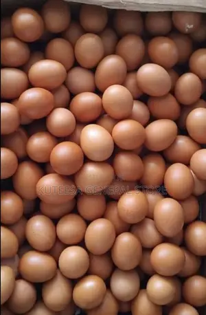 ChickenEggs