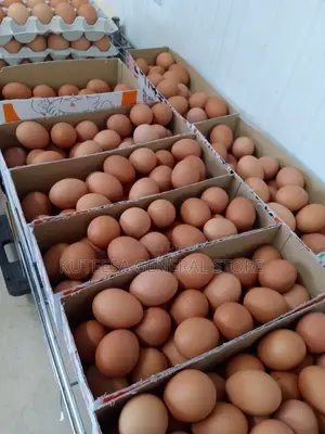 ChickenEggs
