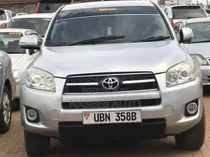 Toyota RAV4 2009 Silver