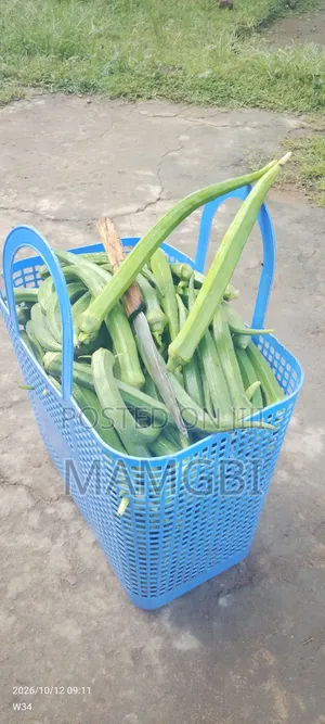 Fresh Okra