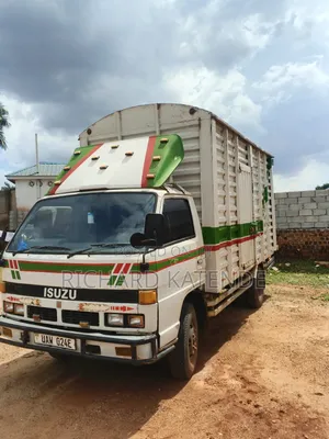 Isuzu Box Body for Sale