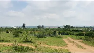 Titled Plot for Sale in Kanyaryeru After Biharwe Mbarara