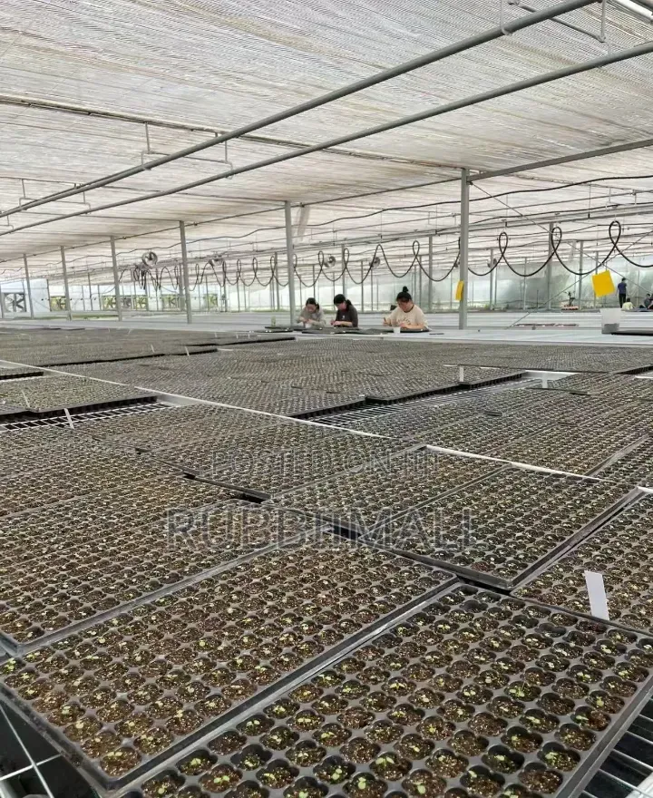 Black Plastic Seedling Tray 50 Cells