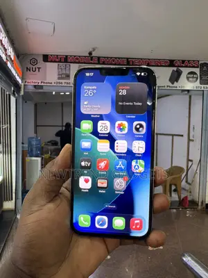 Apple iPhone 13 Pro Max 256 GB Gold