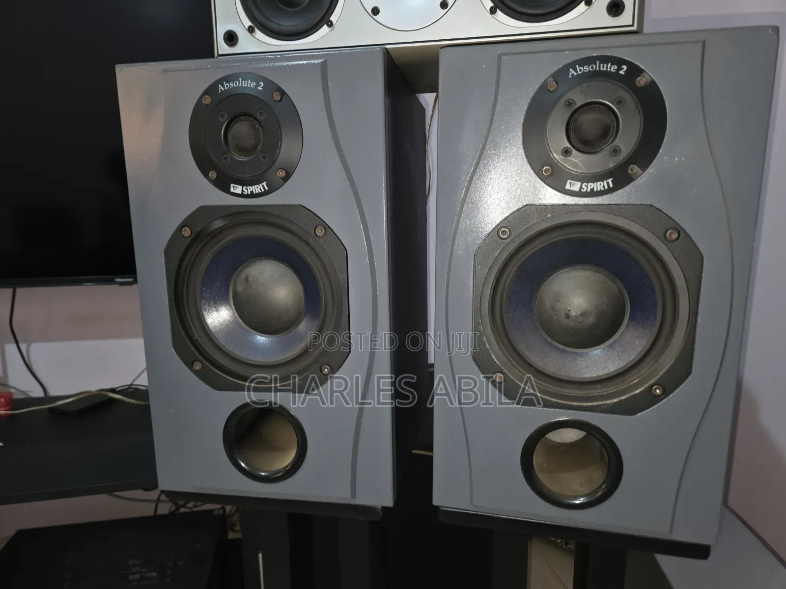 Spirit Absolute Speakers