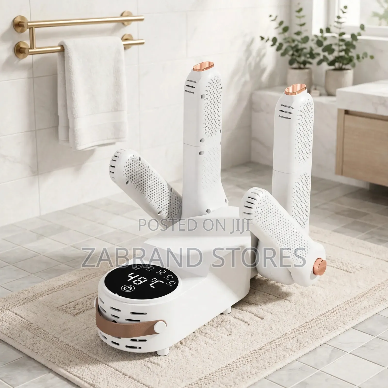 Electric Shoe Dryer