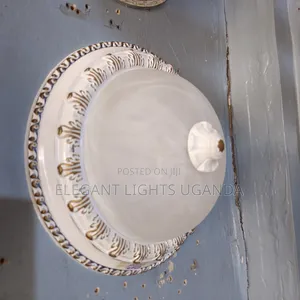 Ceiling Light