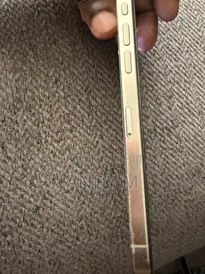 Apple iPhone 15 Pro Max 256 GB Gray