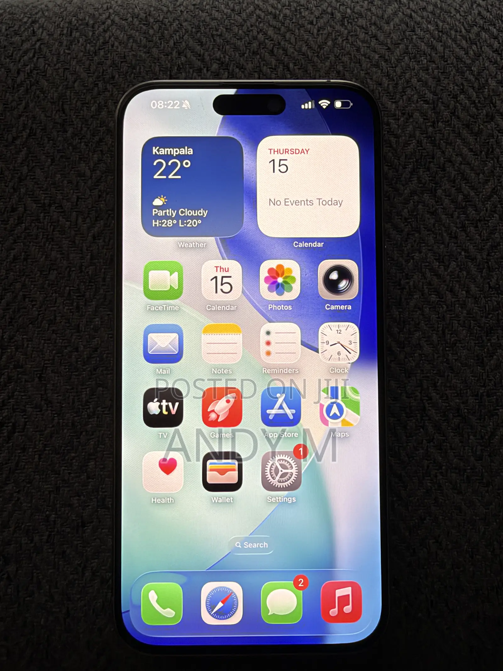 Apple iPhone 15 Pro Max 256 GB Gray