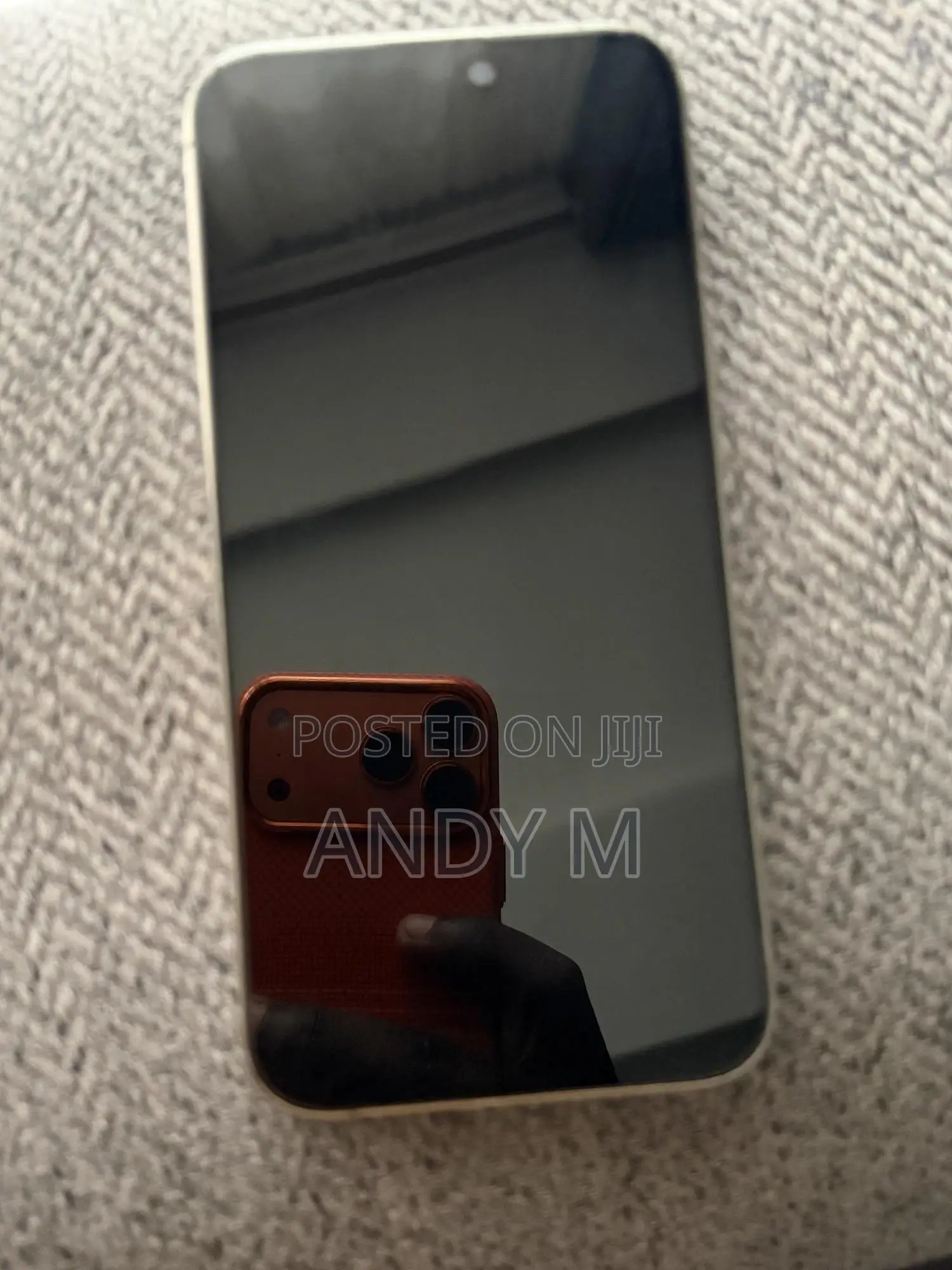 Apple iPhone 15 Pro Max 256 GB Gray