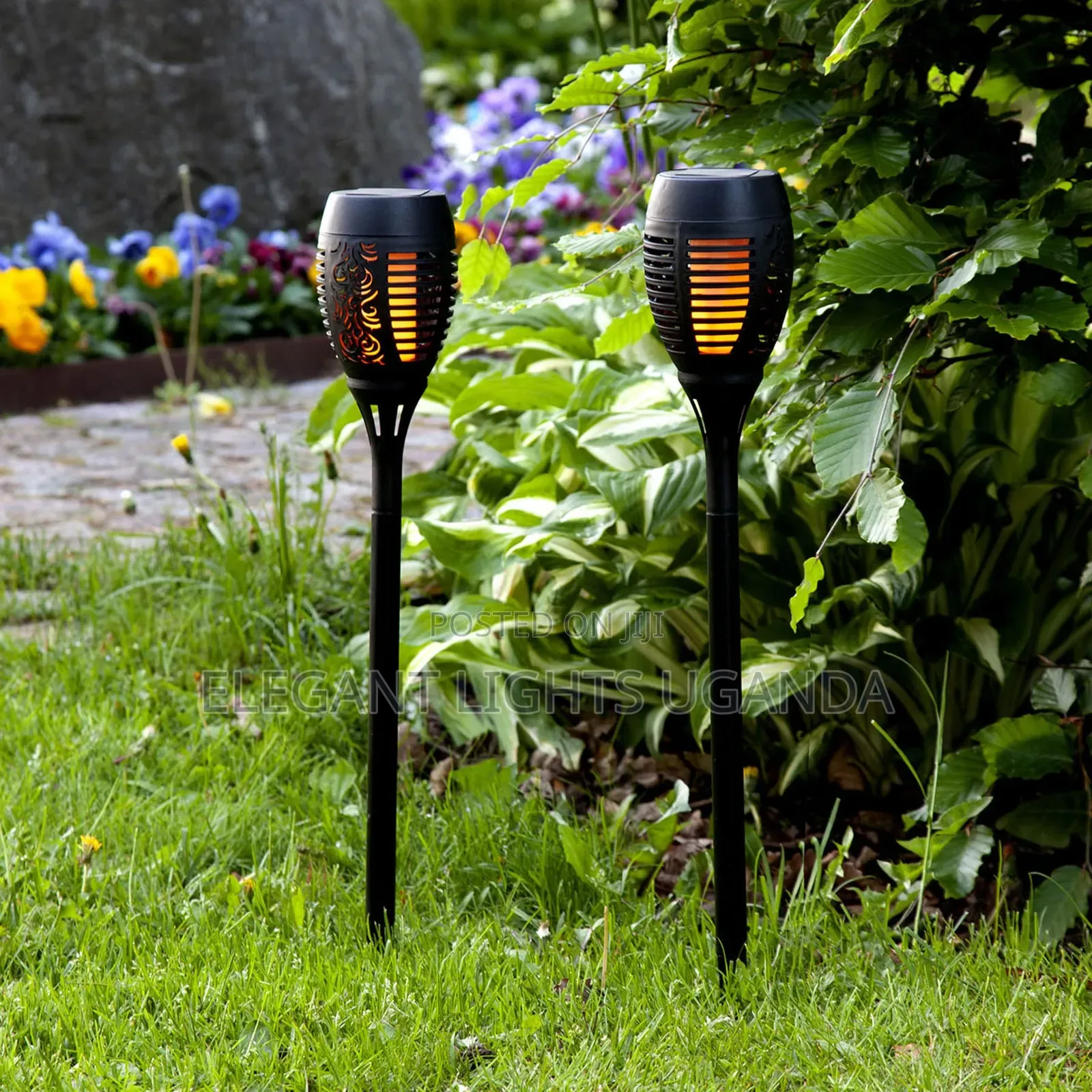 Solar Garden Lights