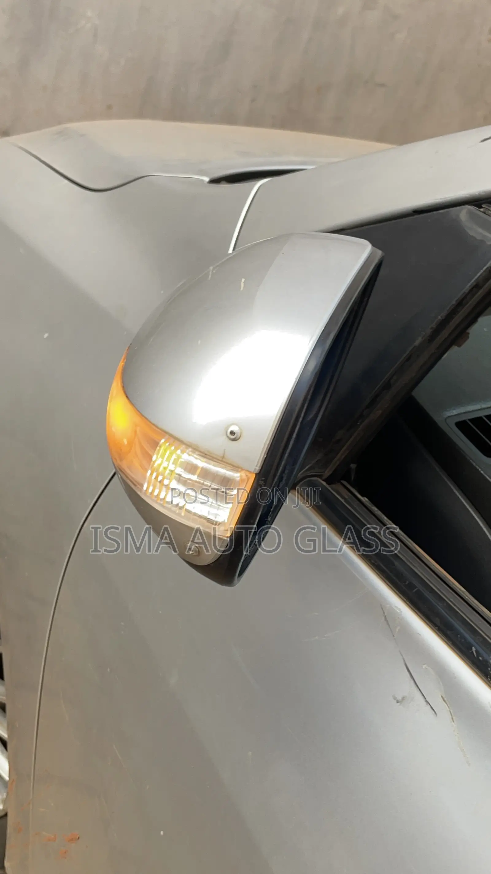 Indicating Side Mirror