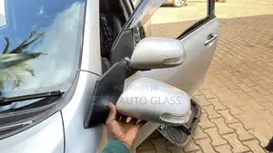 Standard Side Mirror