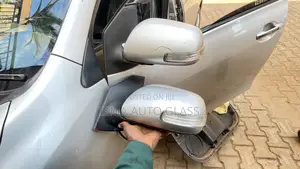Standard Side Mirror