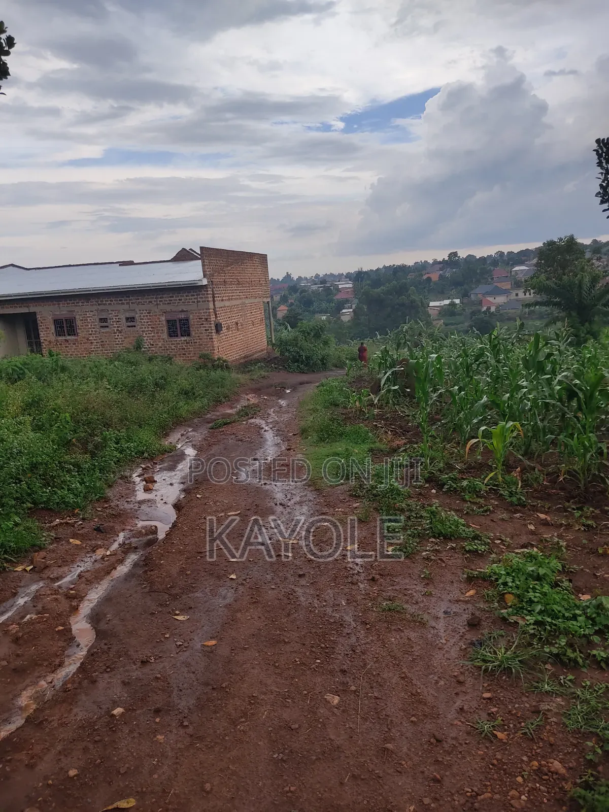 Land for Sale