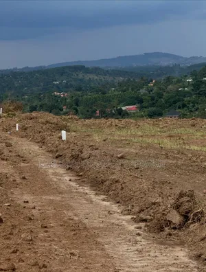 Bujuko Mega Site