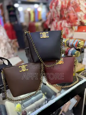 Good Leather Celine Bag Having the Chain Strap and Long Strap