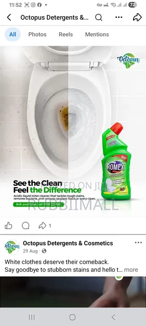 Romex Acidic Liquid Toilet Cleanser (1L Bottle)