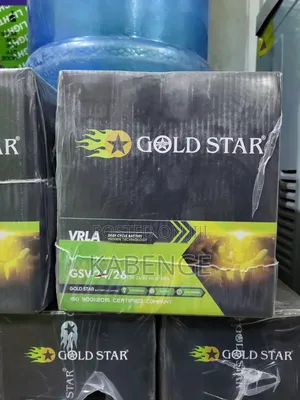 GOLD STAR GSV 24/24 12V 24/26Ah at 20Hr VRLA Deep Cycle Battery