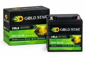 GOLD STAR GSV 24/24 12V 24/26Ah at 20Hr VRLA Deep Cycle Battery