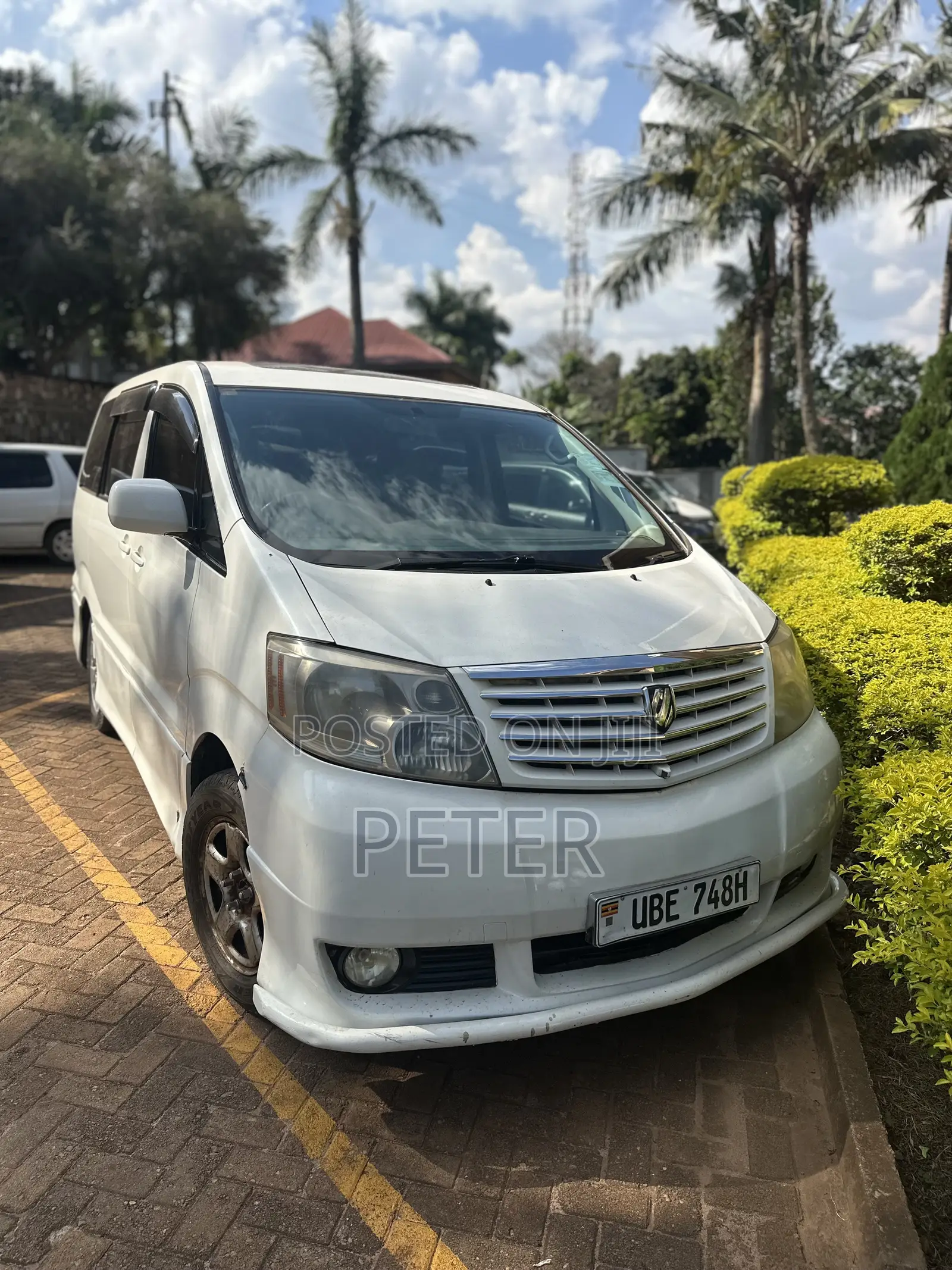 Toyota Alphard 2004 Pearl