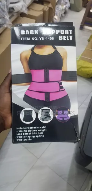 Back Support Belt