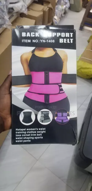 Back Support Belt