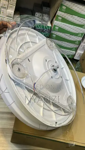 Do Light Fan