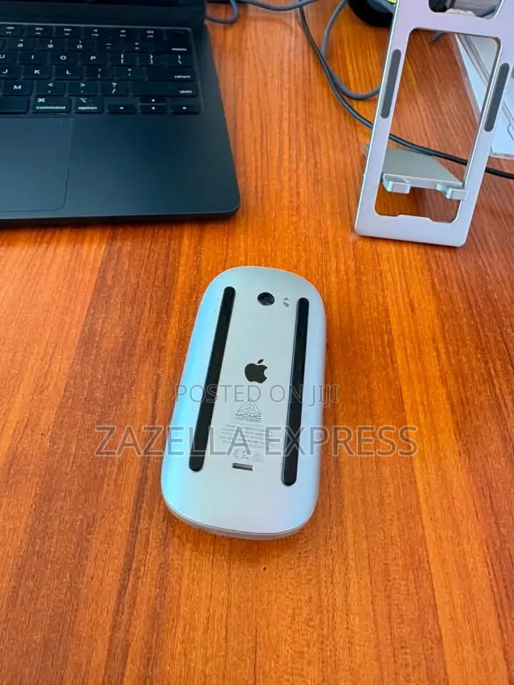 Apple Magic Mouse 2 Silver Lightning