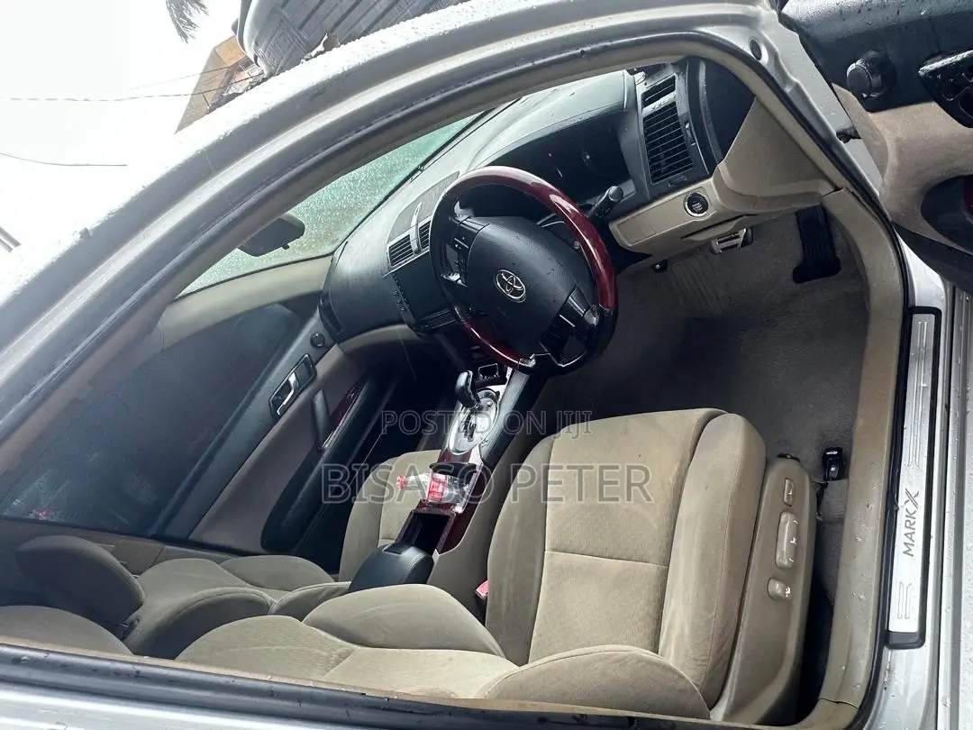 Toyota Mark X 2009 Silver