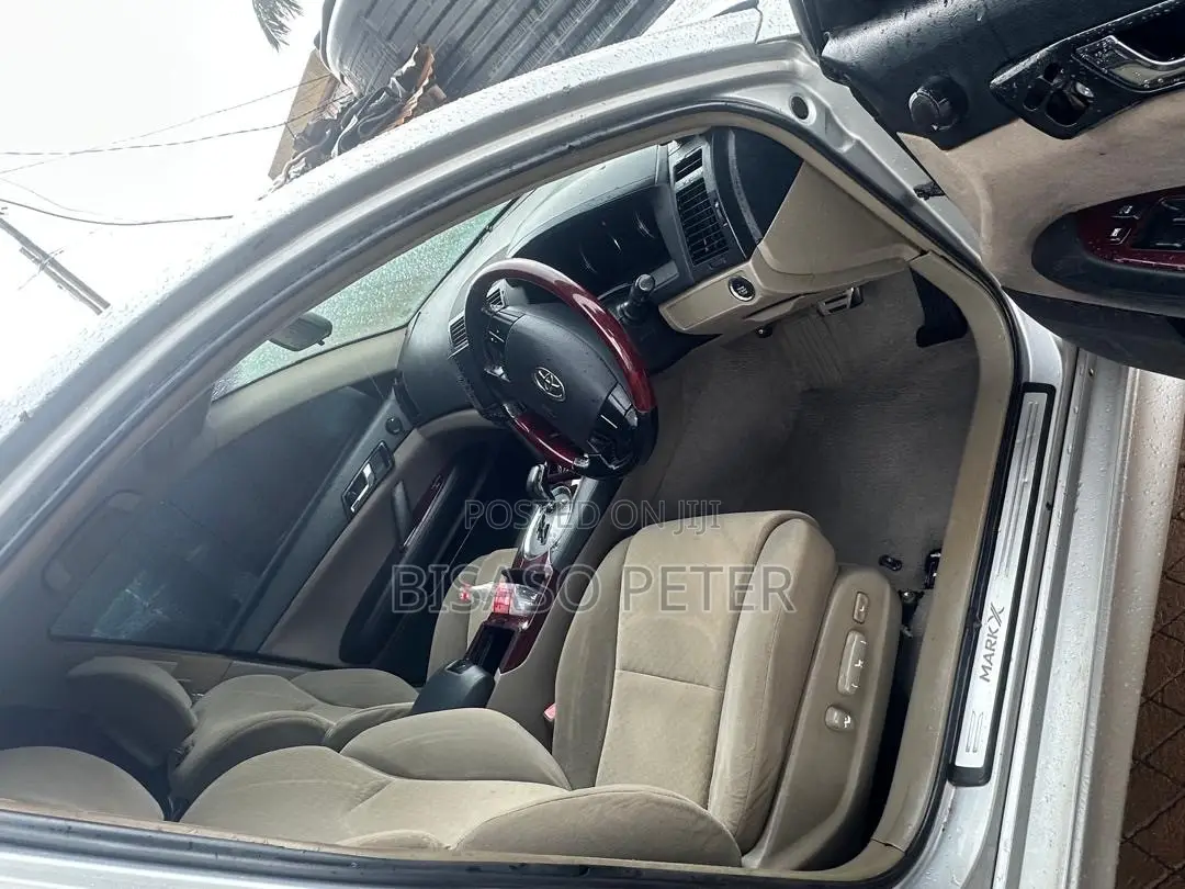 Toyota Mark X 2009 Silver