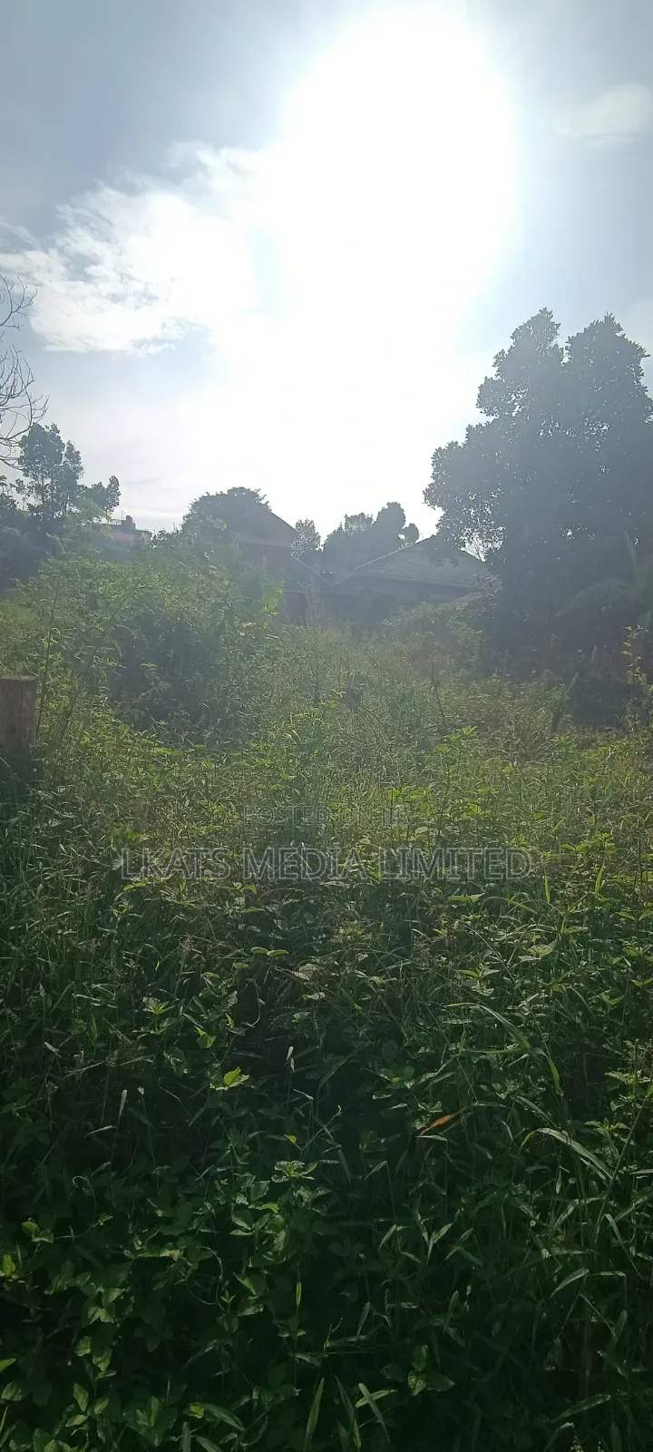Private Mailo Land Bweya Kitende Entebbe Road Kampala